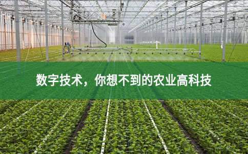 數(shù)字技術(shù)，你想不到的農(nóng)業(yè)高科技