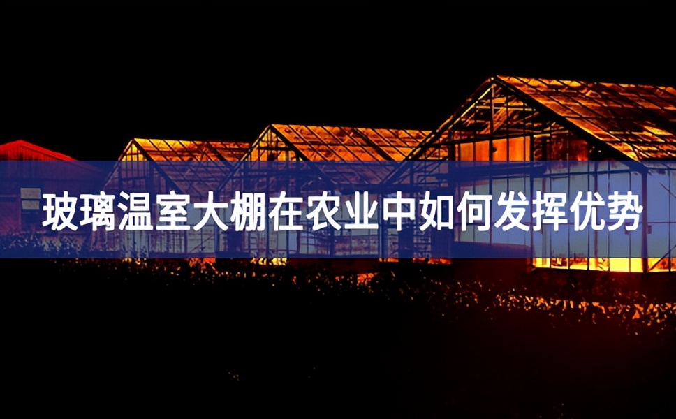 智能玻璃溫室大棚在農(nóng)業(yè)種植方面如何發(fā)揮優(yōu)勢(shì)