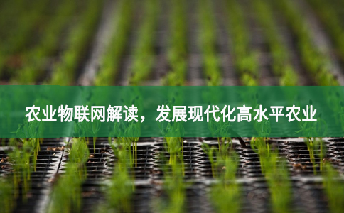 農(nóng)業(yè)物聯(lián)網(wǎng)架構(gòu)層解讀，發(fā)展現(xiàn)代化高水平農(nóng)業(yè)