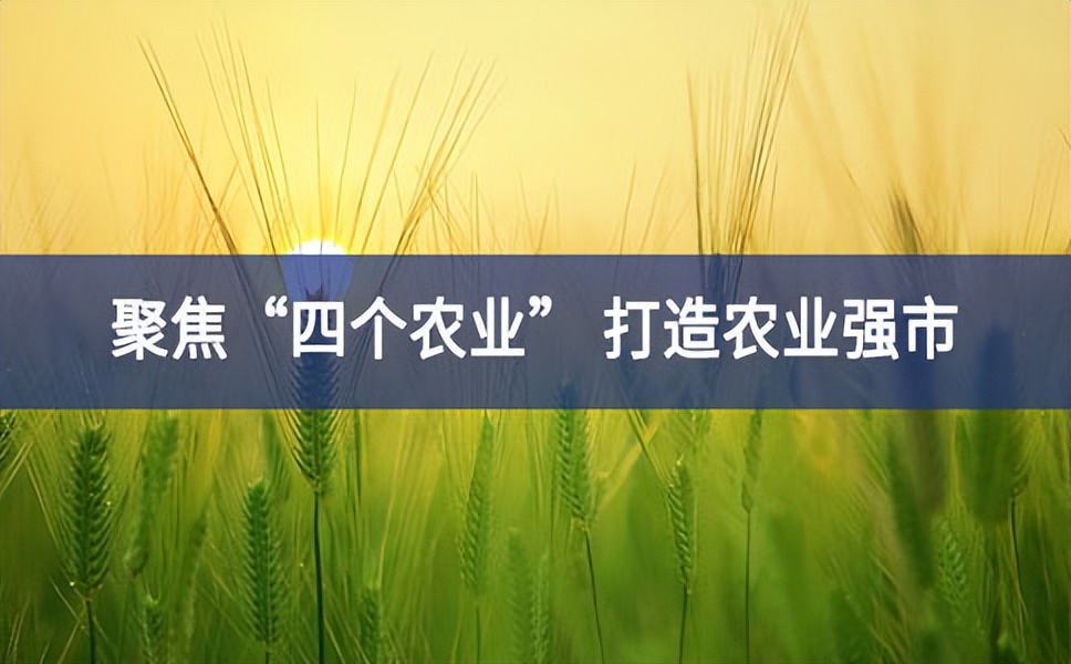 聚焦“四個(gè)農(nóng)業(yè)” 打造農(nóng)業(yè)強(qiáng)市