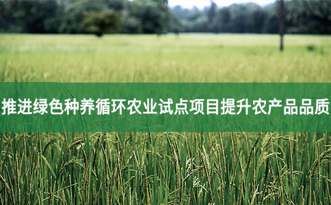 推進(jìn)綠色種養(yǎng)循環(huán)農(nóng)業(yè)試點(diǎn)項(xiàng)目提升農(nóng)產(chǎn)品品質(zhì)