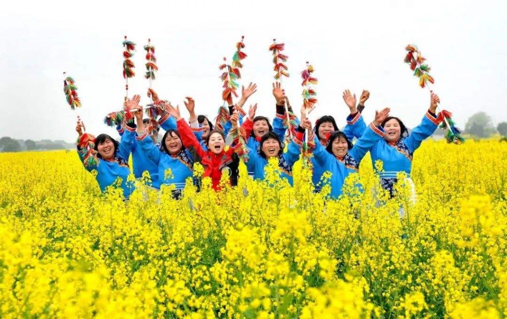 油菜種植
