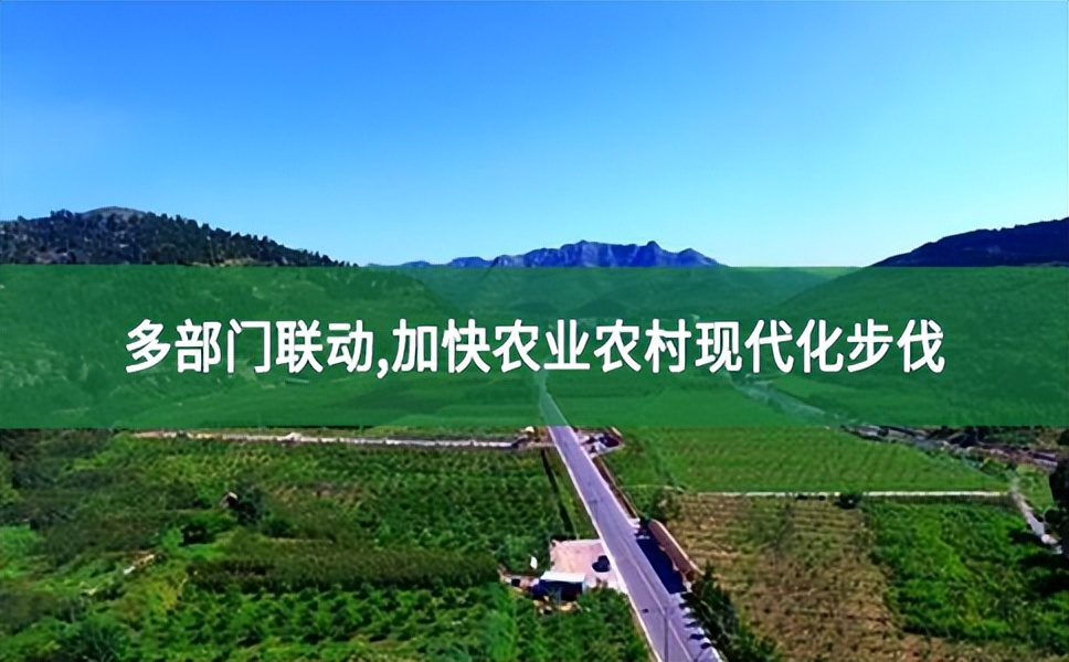 濟南章丘：多部門聯動 加快農業農村現代化步伐