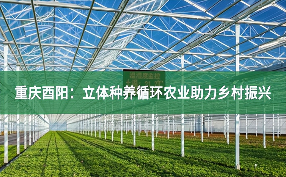 重慶酉陽：立體種養(yǎng)循環(huán)農(nóng)業(yè)助力鄉(xiāng)村振興