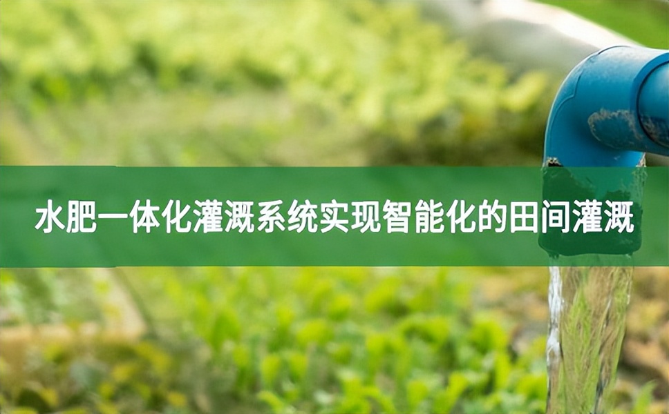水肥一體化灌溉系統實現智能化的田間灌溉