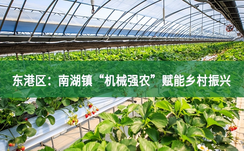 東港區(qū)：南湖鎮(zhèn)“機械強農(nóng)”賦能鄉(xiāng)村振興