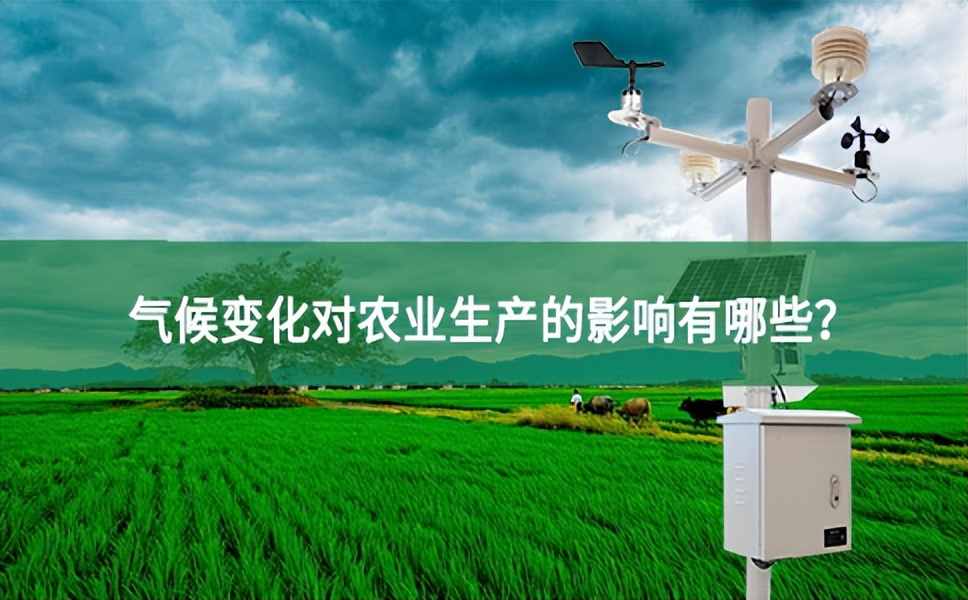 【農業氣象站】氣候變化對農業生產的影響有哪些？