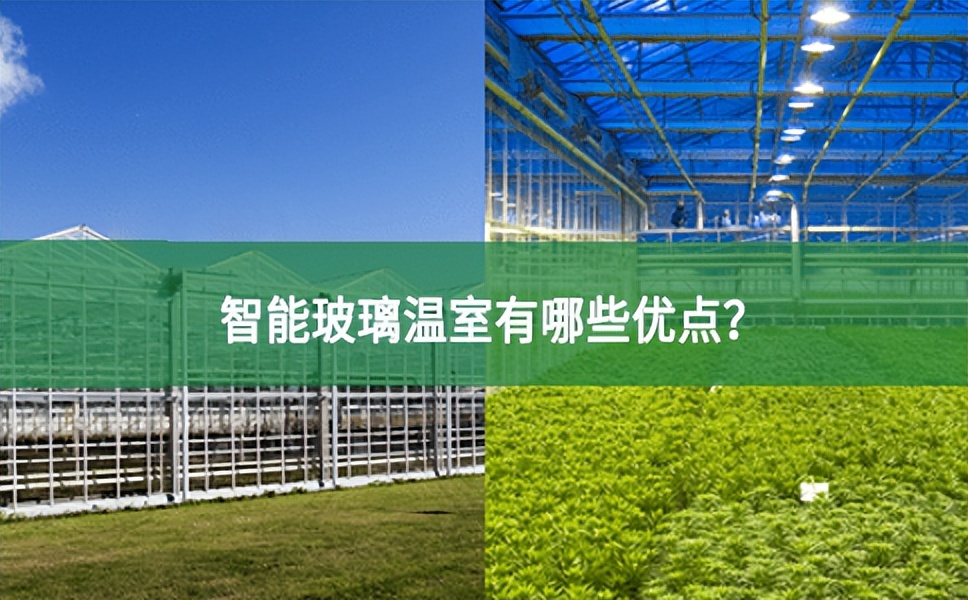 智能玻璃溫室有哪些優點？