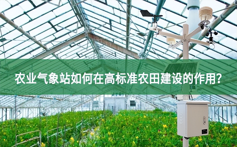 聚英云農：農業氣象站如何在高標準農田建設的作用？