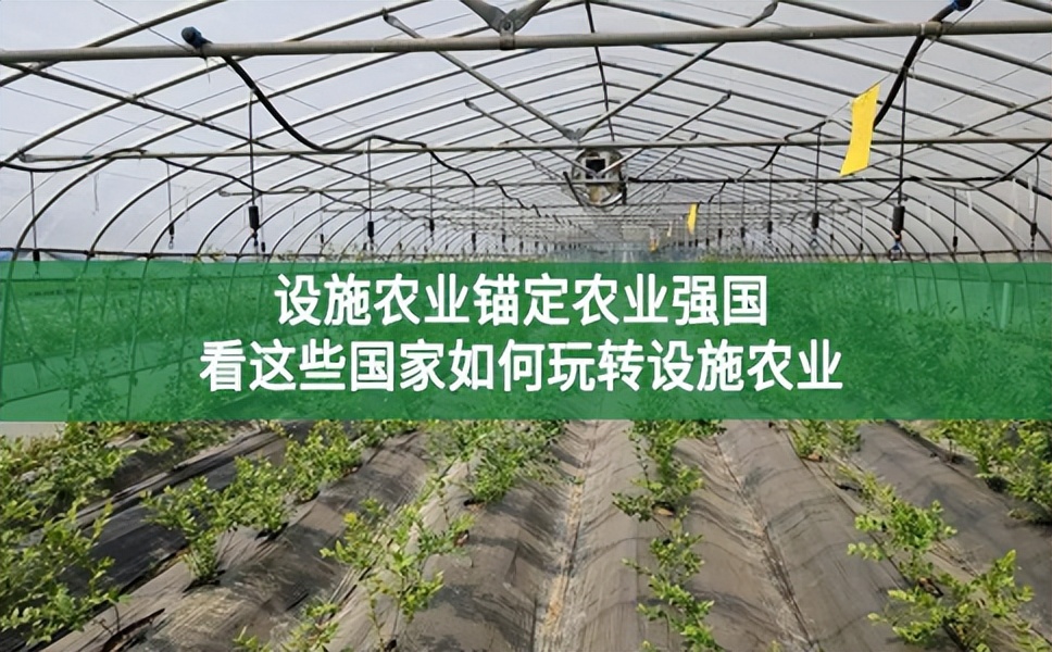 設施農業錨定農業強國，看這些國家如何玩轉設施農業