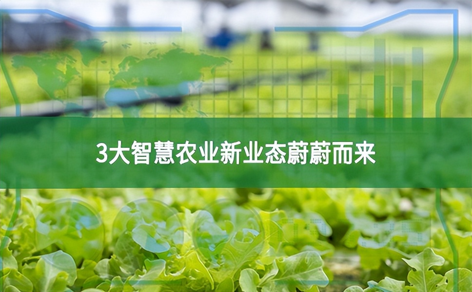 農業數字經濟大爆發，3大智慧農業新業態蔚蔚而來