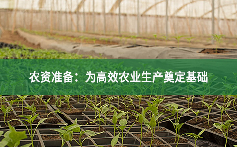 農(nóng)資準(zhǔn)備：為高效農(nóng)業(yè)生產(chǎn)奠定基礎(chǔ)