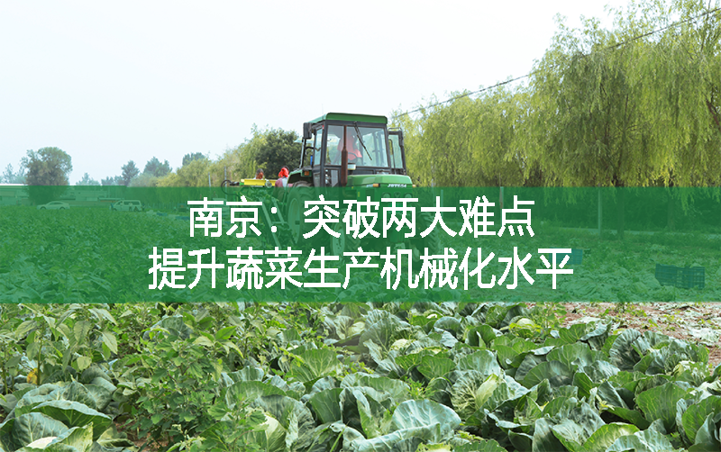 南京：突破兩大難點，提升蔬菜生產機械化水平