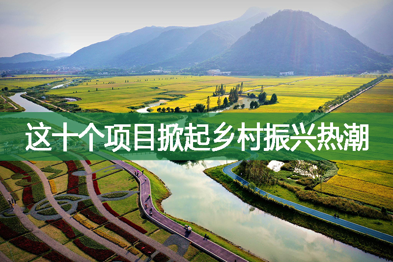 這十個項目掀起鄉村振興熱潮