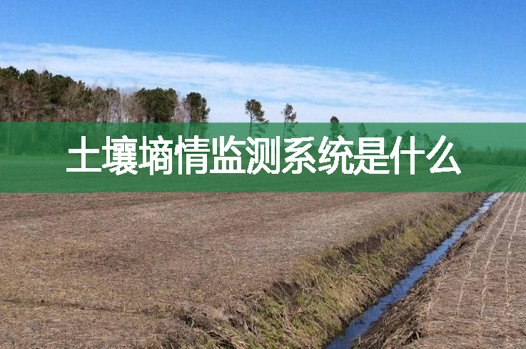 土壤墑情監(jiān)測系統(tǒng)是什么