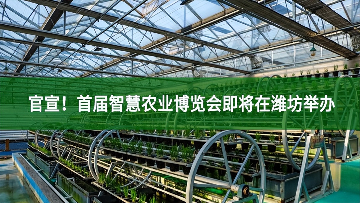 官宣！首屆智慧農(nóng)業(yè)博覽會(huì)即將在濰坊舉辦