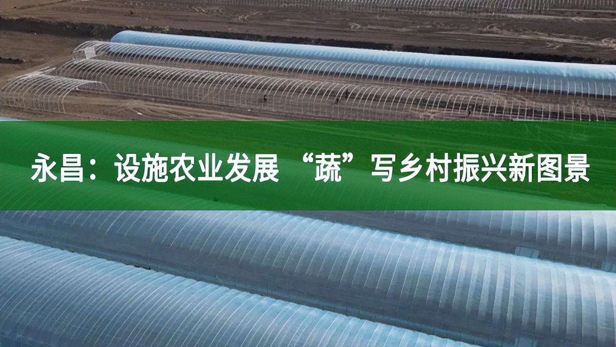 永昌：設(shè)施農(nóng)業(yè)發(fā)展 “蔬”寫鄉(xiāng)村振興新圖景