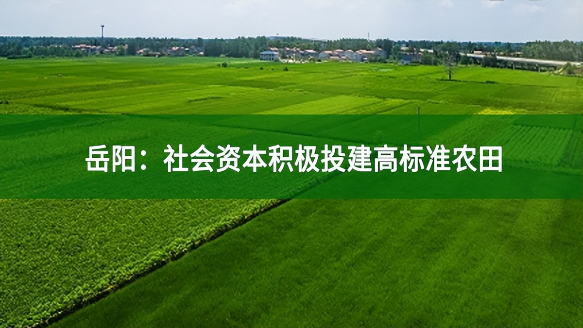 岳陽(yáng)：社會(huì)資本積極投建高標(biāo)準(zhǔn)農(nóng)田