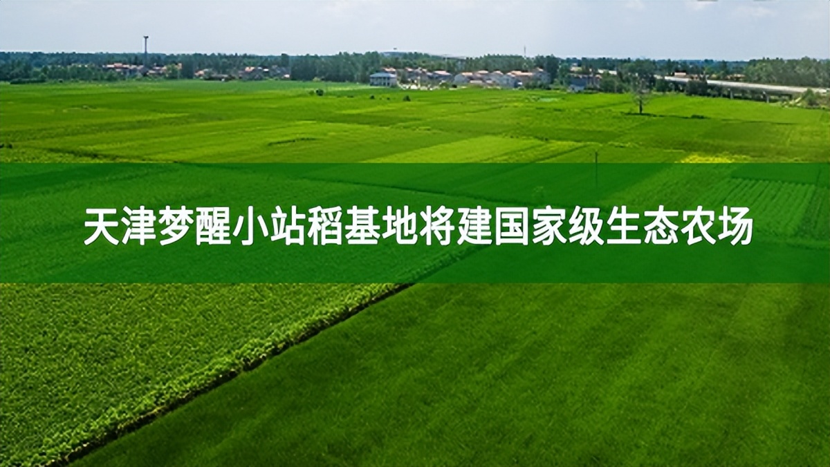 天津夢(mèng)醒小站稻基地將建國(guó)家級(jí)生態(tài)農(nóng)場(chǎng)