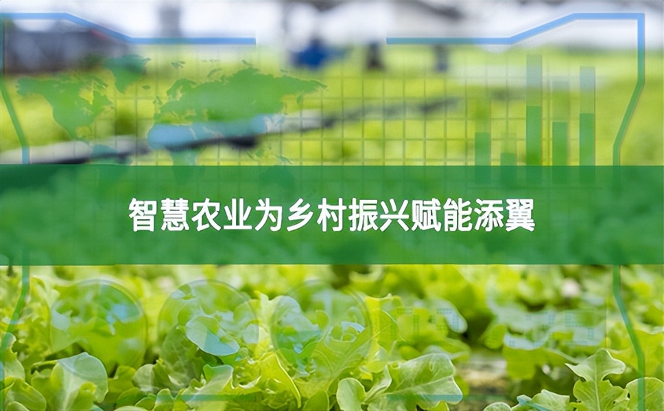智慧農(nóng)業(yè)為鄉(xiāng)村振興賦能添翼
