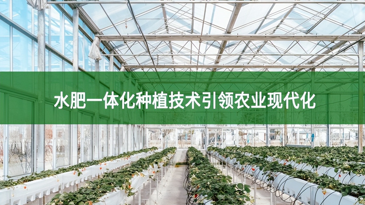 水肥一體化種植技術引領農業現代化，節本增效