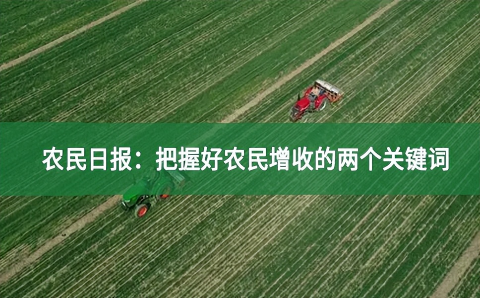 農(nóng)民日報：把握好農(nóng)民增收的兩個關(guān)鍵詞