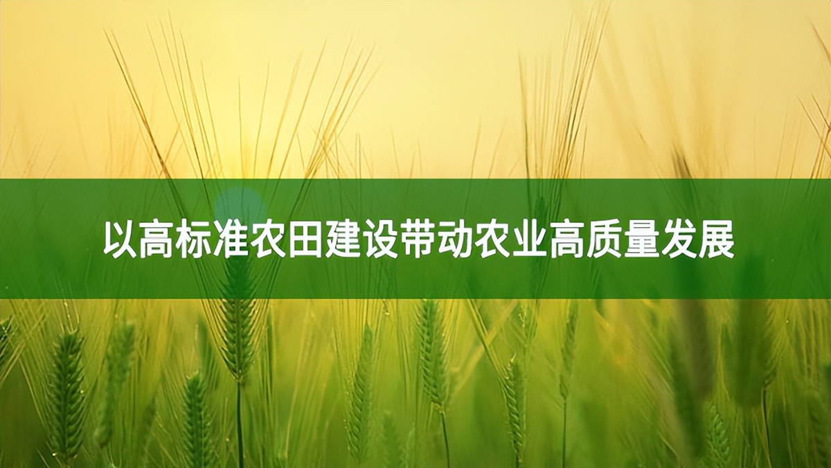 以高標準農(nóng)田建設帶動農(nóng)業(yè)高質(zhì)量發(fā)展