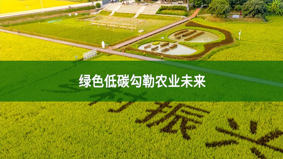 農業低碳發展取得了哪些成果？綠色低碳勾勒農業未來