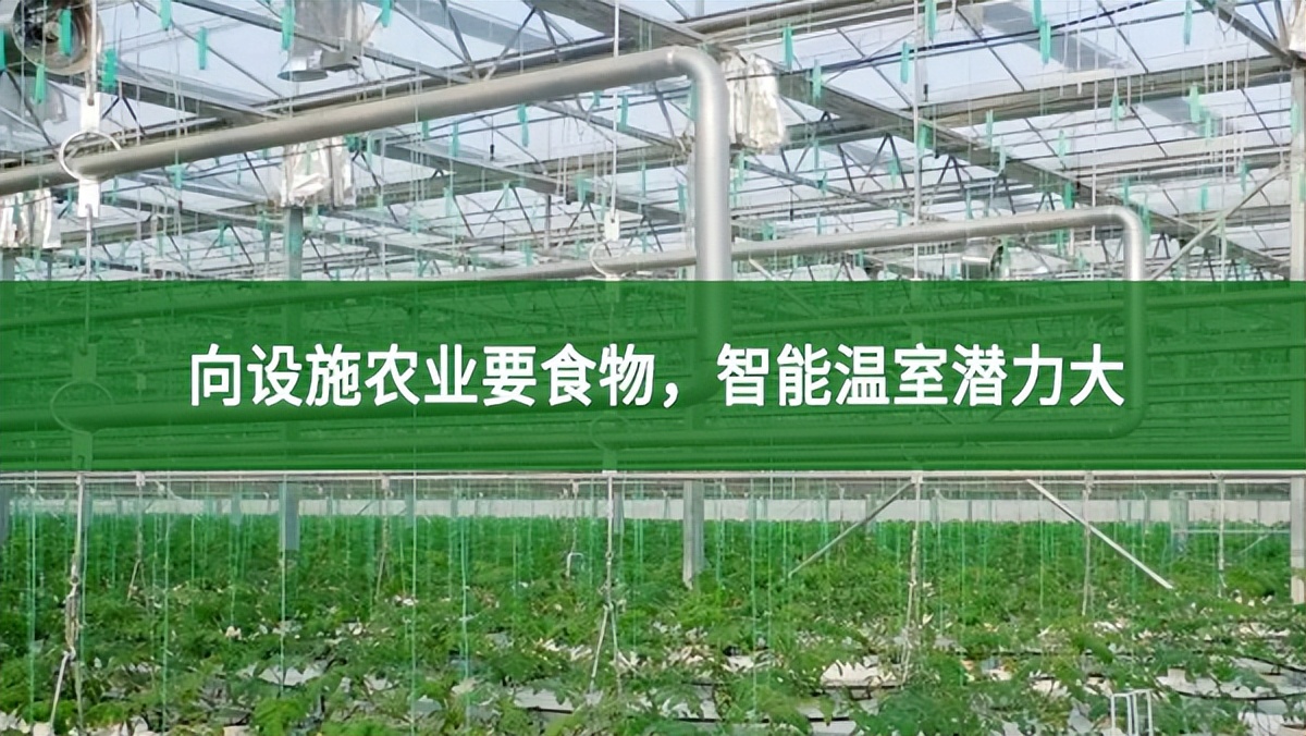 向設施農(nóng)業(yè)要食物，智能溫室潛力大