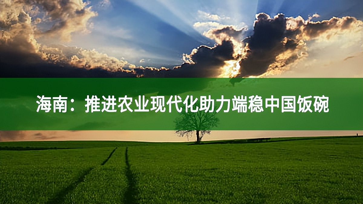 海南：推進(jìn)農(nóng)業(yè)現(xiàn)代化助力端穩(wěn)中國(guó)飯碗