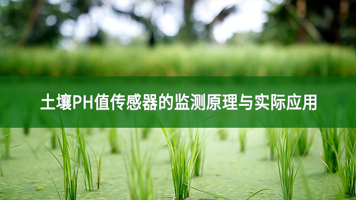 土壤PH值傳感器的監(jiān)測原理與實際應(yīng)用