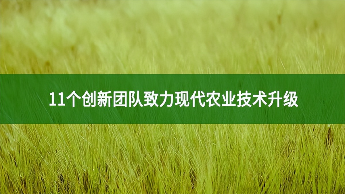 11個創新團隊致力現代農業技術升級