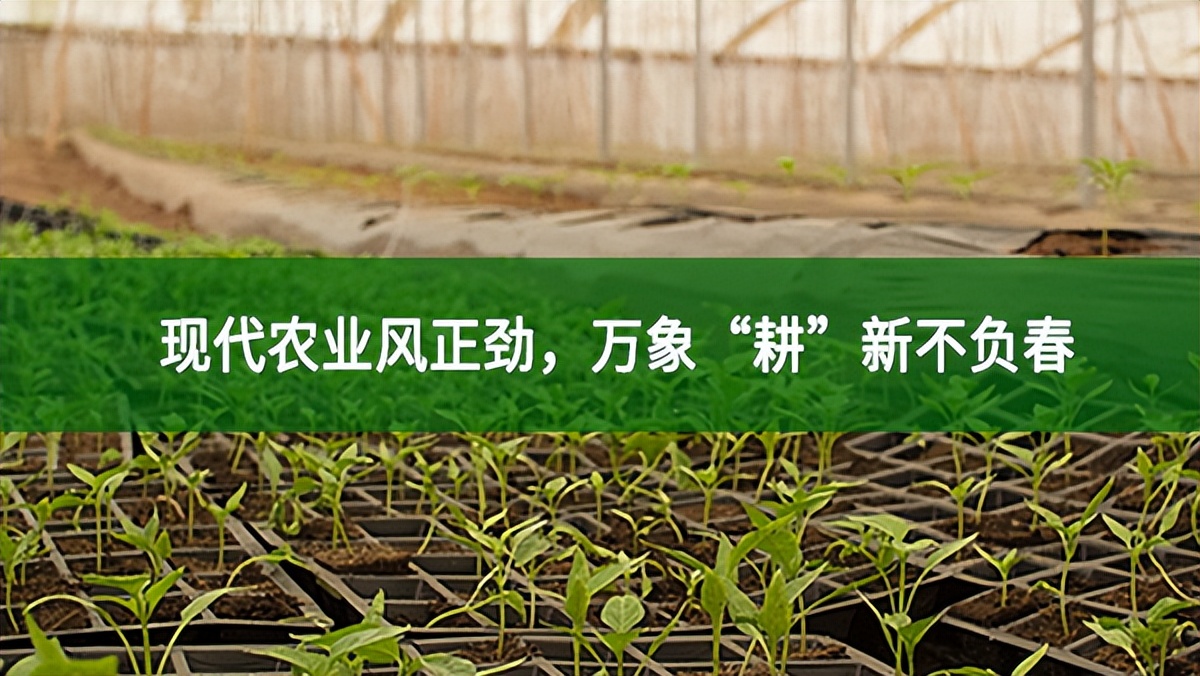 現(xiàn)代農(nóng)業(yè)風正勁，萬象“耕”新不負春