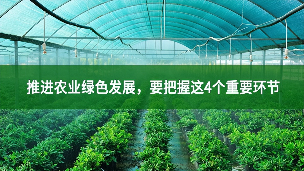 推進農業綠色發展，要把握這4個重要環節