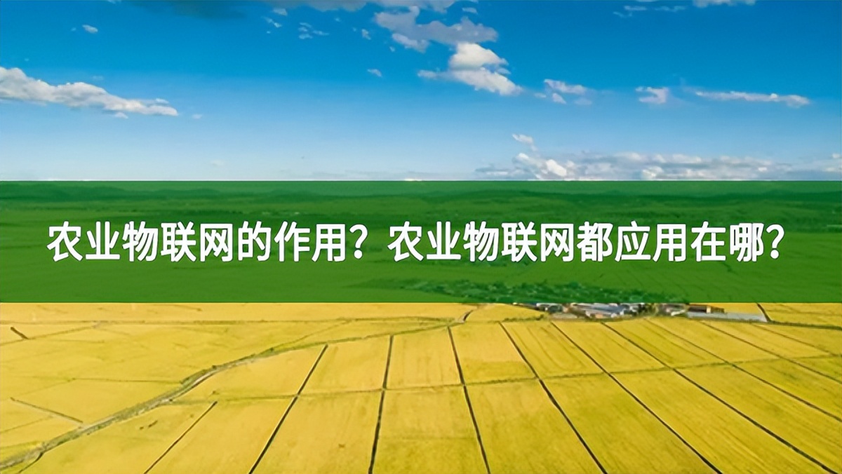 農業(yè)物聯網的作用？農業(yè)物聯網都應用在哪？
