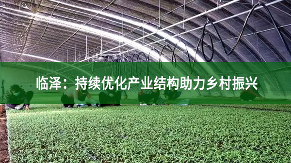 臨澤：持續(xù)優(yōu)化產(chǎn)業(yè)結(jié)構(gòu)助力鄉(xiāng)村振興