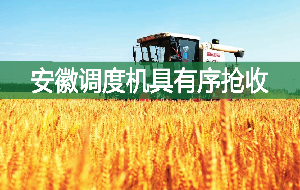 安徽調(diào)度機(jī)具有序搶收
