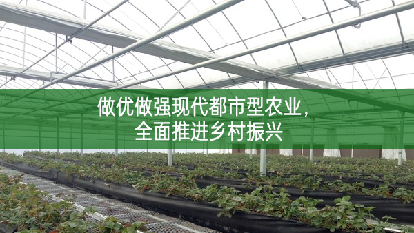 做優做強現代都市型農業，全面推進鄉村振興