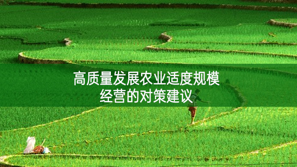 高質(zhì)量發(fā)展農(nóng)業(yè)適度規(guī)模經(jīng)營(yíng)的對(duì)策建議