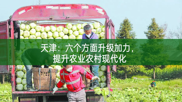 天津：六個(gè)方面升級(jí)加力，提升農(nóng)業(yè)農(nóng)村現(xiàn)代化