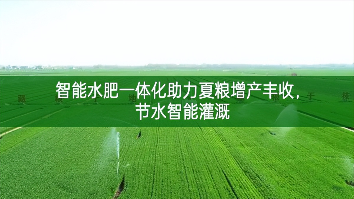 智能水肥一體化助力夏糧增產(chǎn)豐收，節(jié)水智能灌溉