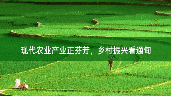 現(xiàn)代農(nóng)業(yè)產(chǎn)業(yè)正芬芳，鄉(xiāng)村振興看通甸