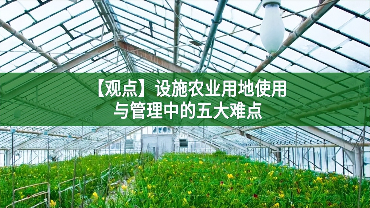 【觀點】設(shè)施農(nóng)業(yè)用地使用與管理中的五大難點