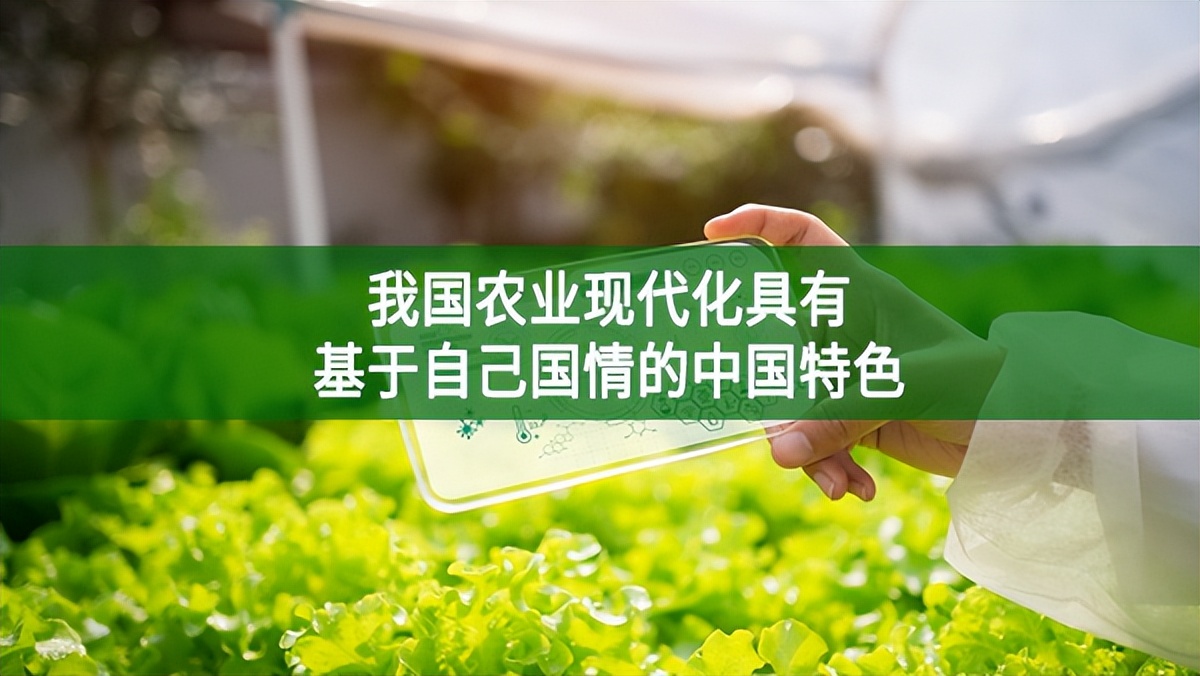我國農業現代化具有基于自己國情的中國特色