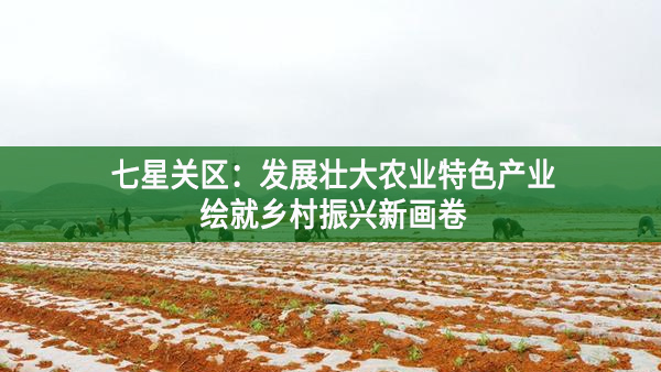 七星關(guān)區(qū)：發(fā)展壯大農(nóng)業(yè)特色產(chǎn)業(yè)，繪就鄉(xiāng)村振興新畫卷