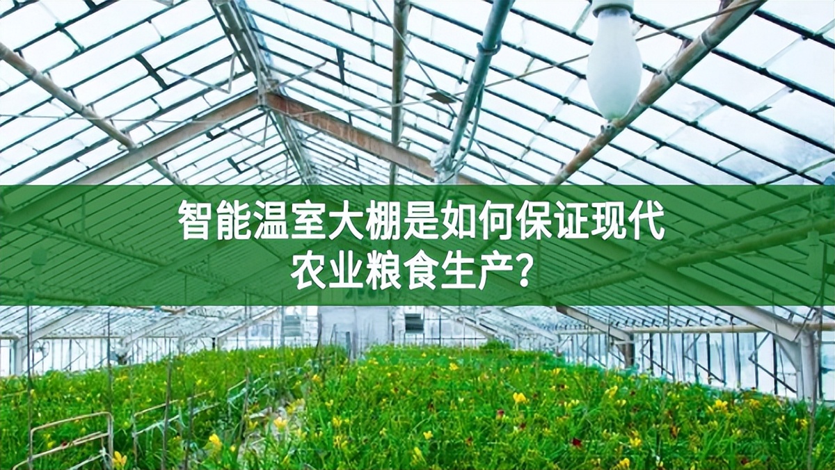 智能溫室大棚是如何保證現代農業糧食生產?