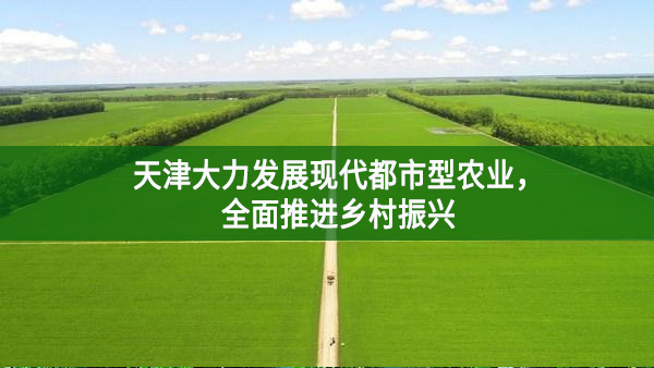 天津大力發(fā)展現(xiàn)代都市型農(nóng)業(yè)，全面推進(jìn)鄉(xiāng)村振興