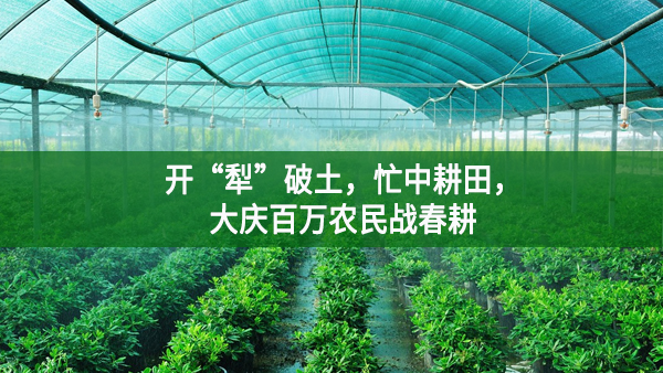 開“犁”破土，忙中耕田，大慶百萬(wàn)農(nóng)民戰(zhàn)春耕