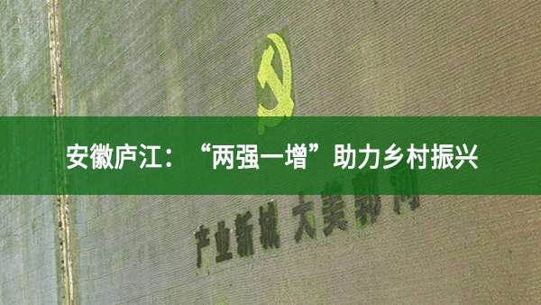 安徽廬江：“兩強(qiáng)一增”助力鄉(xiāng)村振興