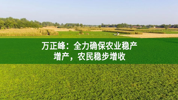 萬正峰：全力確保農(nóng)業(yè)穩(wěn)產(chǎn)增產(chǎn)，農(nóng)民穩(wěn)步增收